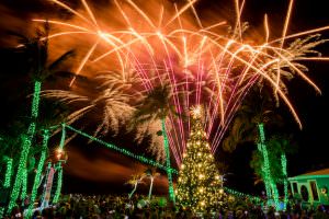 tween waters tree lighting celebration