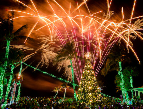 Roll In the Holiday with ‘Tween Waters Island Resort & Spa’s Tree Lighting Celebration